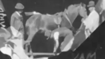 Zasłona do filmu "Horse Shoeing" #968368