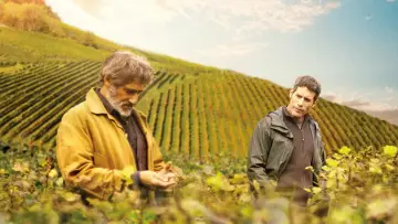 Zasłona do filmu "Wielkie wino" #499942