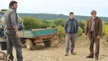 Zasłona do filmu "Wielkie wino" #499943