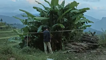 Zasłona do filmu "路边野餐" #478334