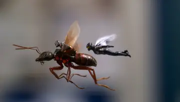 Zasłona do filmu "Ant-Man i Osa" #1643271