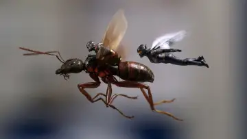 Zasłona do filmu "Ant-Man i Osa" #1723748