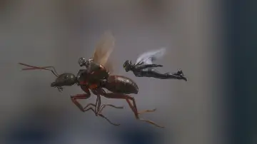 Zasłona do filmu "Ant-Man i Osa" #251482