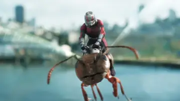 Zasłona do filmu "Ant-Man i Osa" #251489