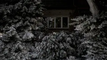 Zasłona do filmu "Syndrom Berliński" #1002611