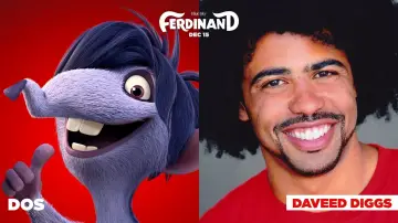 Zasłona do filmu "Fernando" #231713