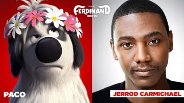 Zasłona do filmu "Fernando" #231718