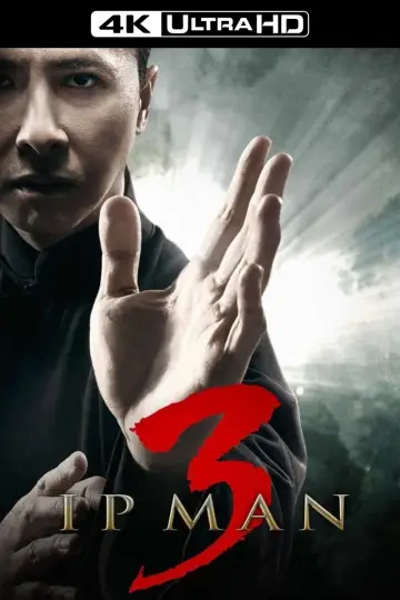 Plakat do filmu "Ip Man 3" #127279