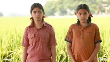 Zasłona do filmu "Dangal" #182506