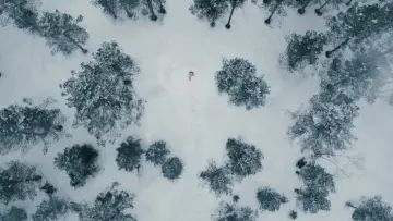 Zasłona do filmu "Nie czas umierać" #766899