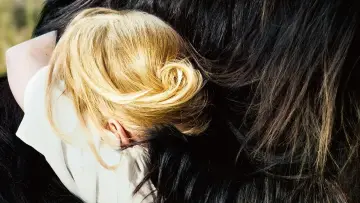 Zasłona do filmu "Toni Erdmann" #247818