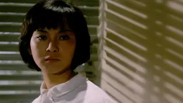 Zasłona do filmu "寂寞的十七歲" #1568206