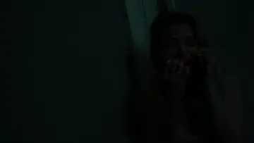 Zasłona do filmu "Don