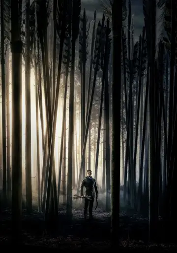 Plakat do filmu "Robin Hood: Początek" #323988