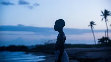 Zasłona do filmu "Moonlight" #219390