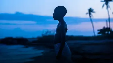 Zasłona do filmu "Moonlight" #219392