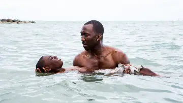 Zasłona do filmu "Moonlight" #219393