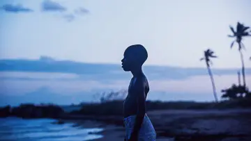 Zasłona do filmu "Moonlight" #219398
