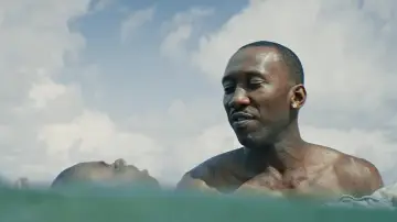 Zasłona do filmu "Moonlight" #963568
