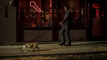Zasłona do filmu "Paterson" #239318