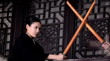 Zasłona do filmu "Tygrysy ze stacji Shagou" #347587