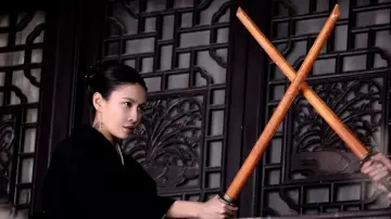 Zasłona do filmu "Tygrysy ze stacji Shagou" #347590