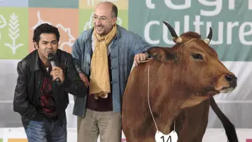 Zasłona do filmu "La Vache" #264401