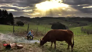 Zasłona do filmu "La Vache" #264402
