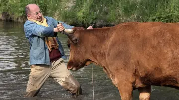 Zasłona do filmu "La Vache" #264404