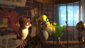 Zasłona do filmu "Riko prawie bocian" #361902