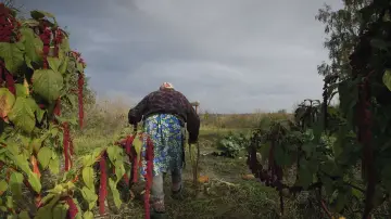 Zasłona do filmu "Neredzamā pilsēta" #1271197