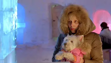 Zasłona do filmu "Страна ОЗ" #1147965