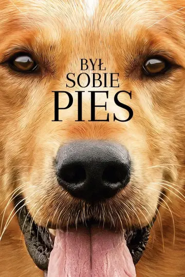Plakat do filmu "Był Sobie Pies" #855760