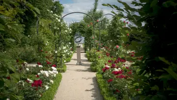 Zasłona do filmu "Painting the Modern Garden: Monet to Matisse" #427309