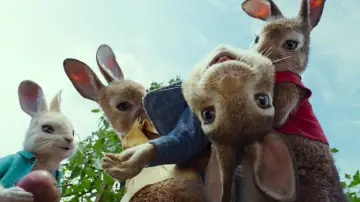 Zasłona do filmu "Piotruś Królik" #325330