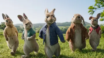 Zasłona do filmu "Piotruś Królik" #325337
