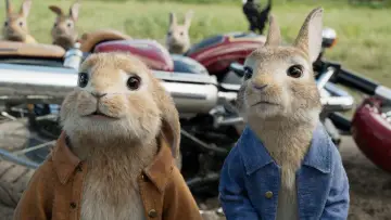 Zasłona do filmu "Piotruś Królik" #325340