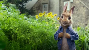 Zasłona do filmu "Piotruś Królik" #325341