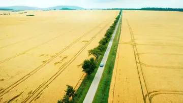 Zasłona do filmu "Goodbye Berlin" #418058