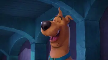 Zasłona do filmu "Scooby-Doo!" #849205