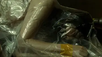Zasłona do filmu "クリーピー 偽りの隣人" #1034655