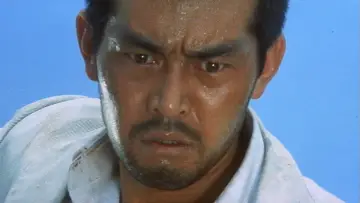 Zasłona do filmu "野良犬" #1621759