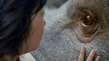 Zasłona do filmu "Okja" #220368