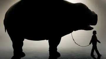 Zasłona do filmu "Okja" #220379