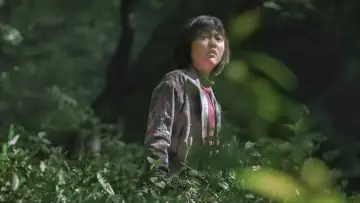 Zasłona do filmu "Okja" #220380