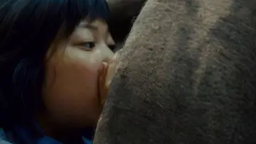 Zasłona do filmu "Okja" #856120