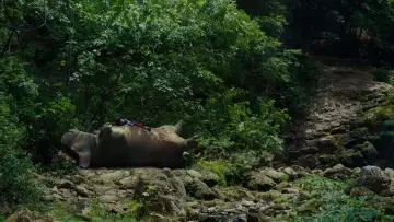 Zasłona do filmu "Okja" #856124