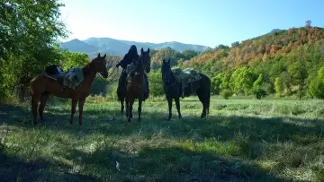 Zasłona do filmu "Mythica: Żelazna korona" #1574328