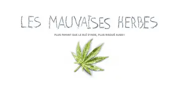 Zasłona do filmu "Les mauvaises herbes" #1573863