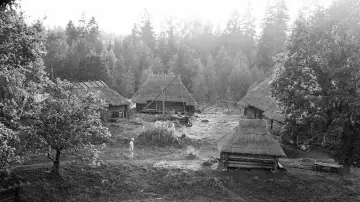 Zasłona do filmu "Libahunt" #1823404